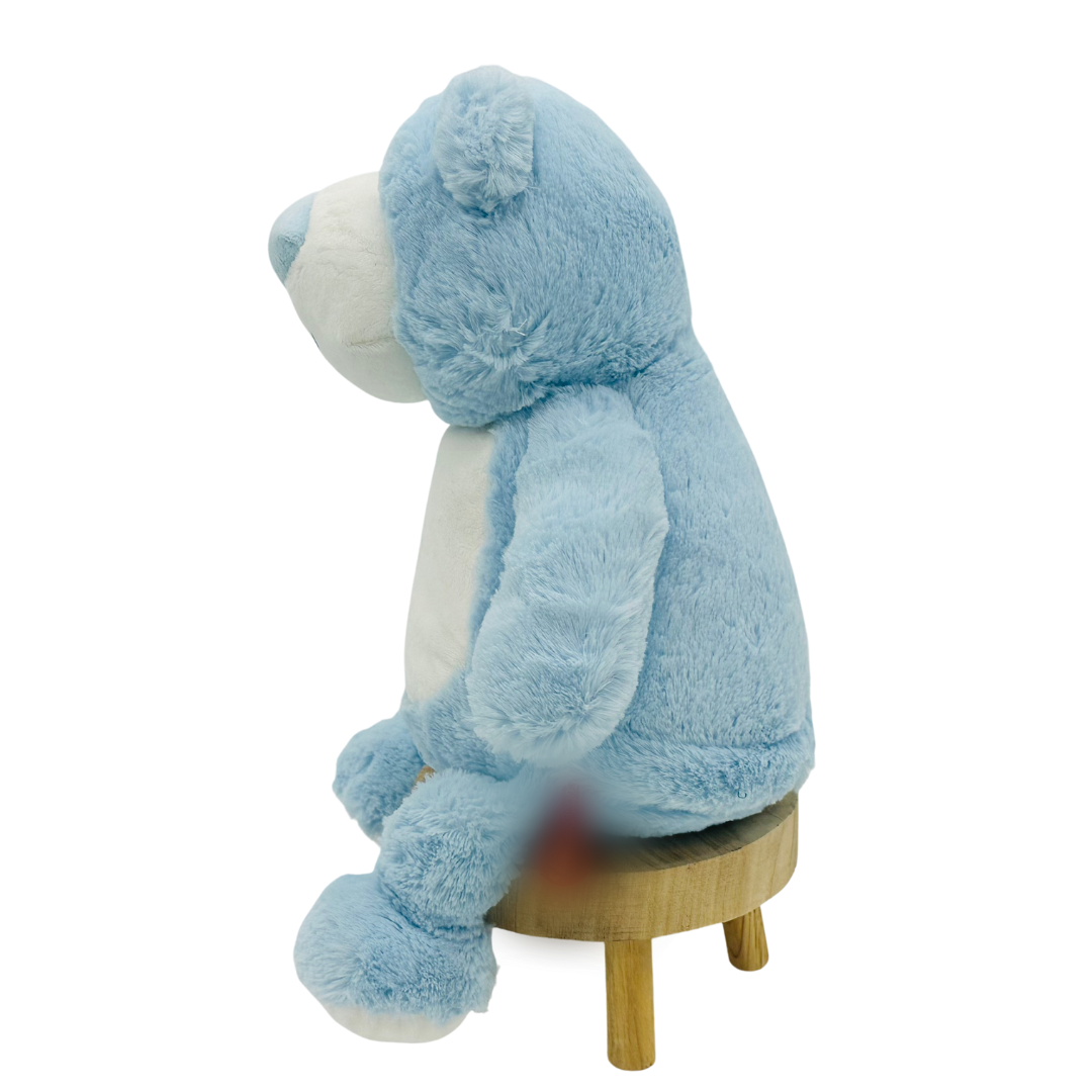 Baby Blue Bear-CB