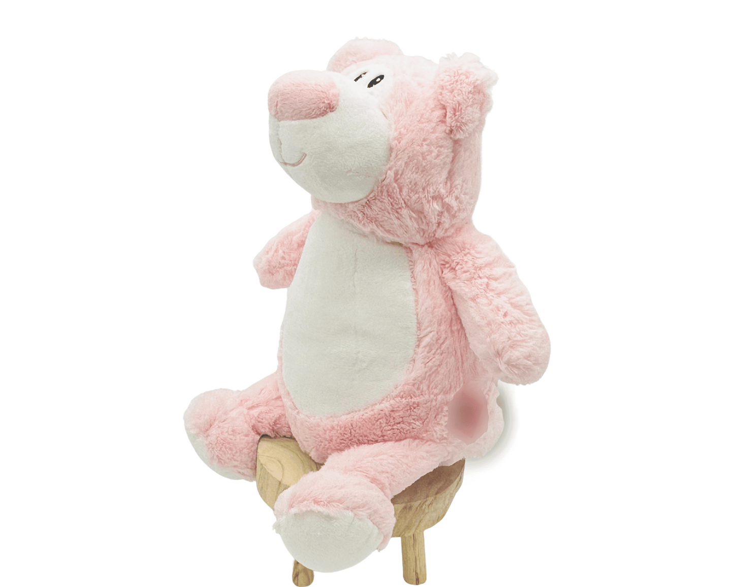 Pink Teddy Bear-CB